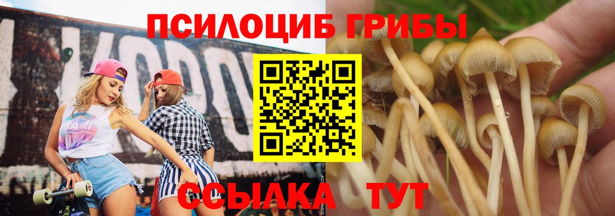 Галлюциногенные грибы мухоморы Казань